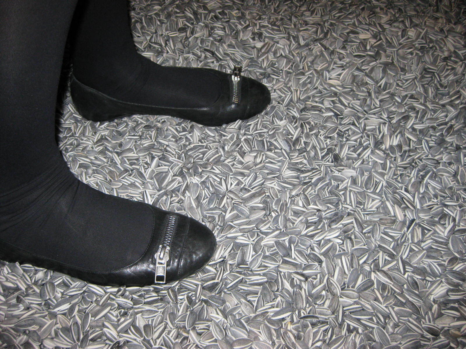 10.10.11 Ai Weiwei (4)