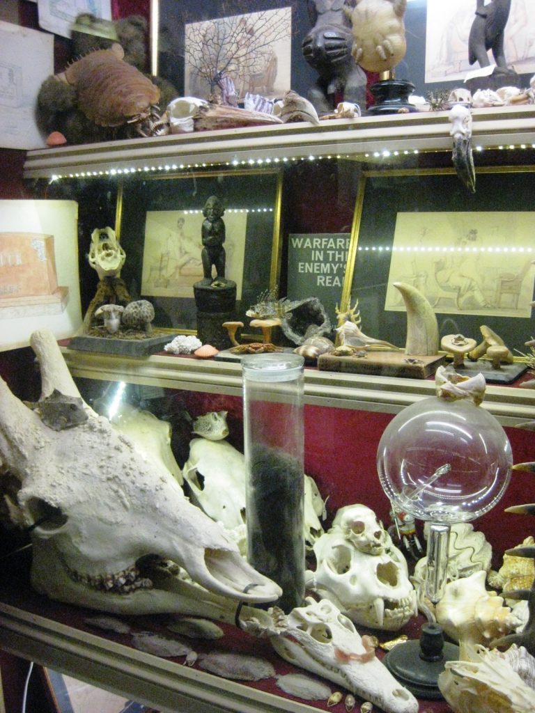 Museum of curiosities (1)
