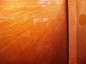 Photo by Caroline Banks