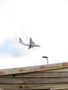 Photo by Caroline Banks