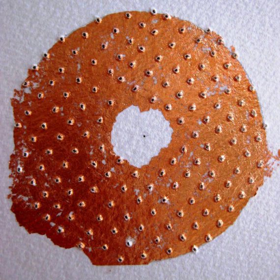 Copper Bi study painting by Caroline Banks