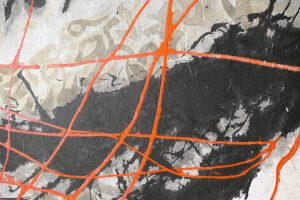 Photo by Caroline Banks