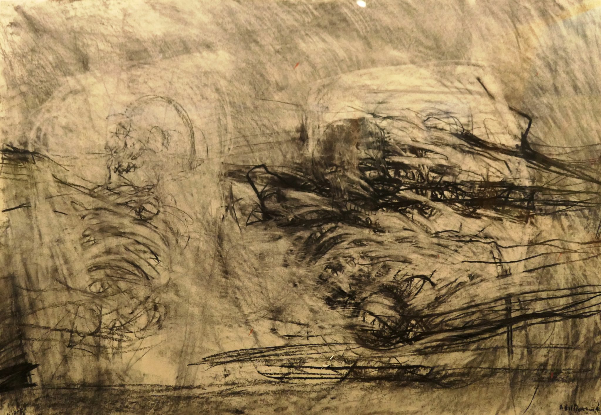 Pushing Paper: contemporary drawing from 1970 to now. British Museum ...
