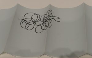 Photo by Caroline Banks