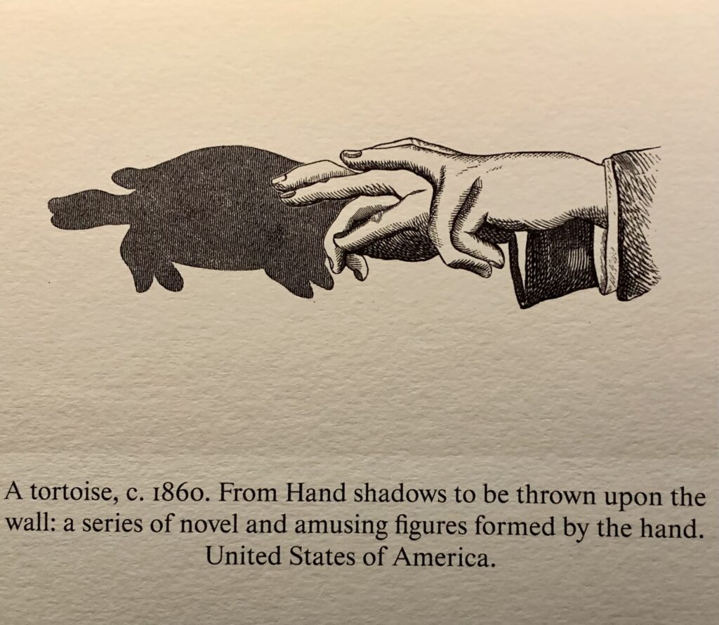 Ricochet:Francis Alys at Barbican. Photo by Caroline Banks.