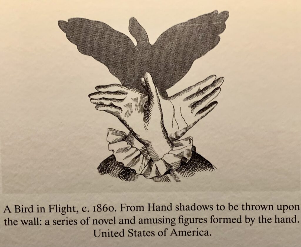 Ricochet:Francis Alys at Barbican. Photo by Caroline Banks.