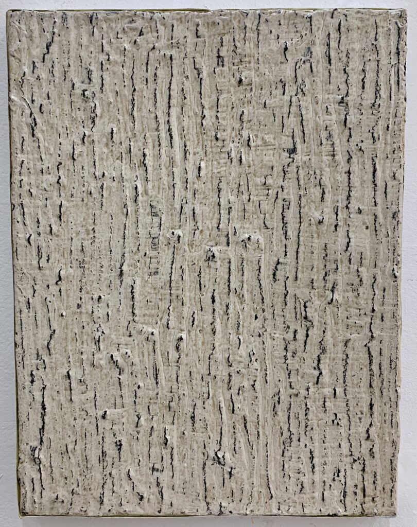 Jean-Pierre Brechet at Galerie Akie Arichi Paris. Photo by Caroline Banks.