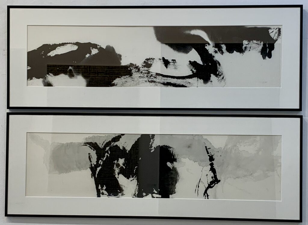 Serge Sonniere at Galerie Akie Arichi Paris. Photo by Caroline Banks.