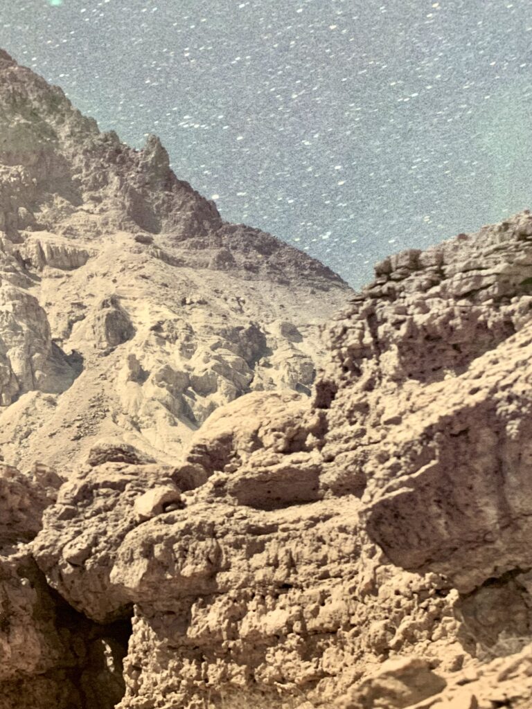 Kristina Chan: Habitable Climes. Canada House. Photo by Caroline Banks.