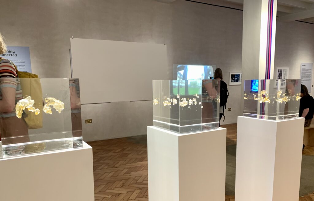 Everything is Connected. Crafts Council Gallery. Photo by Caroline Banks.