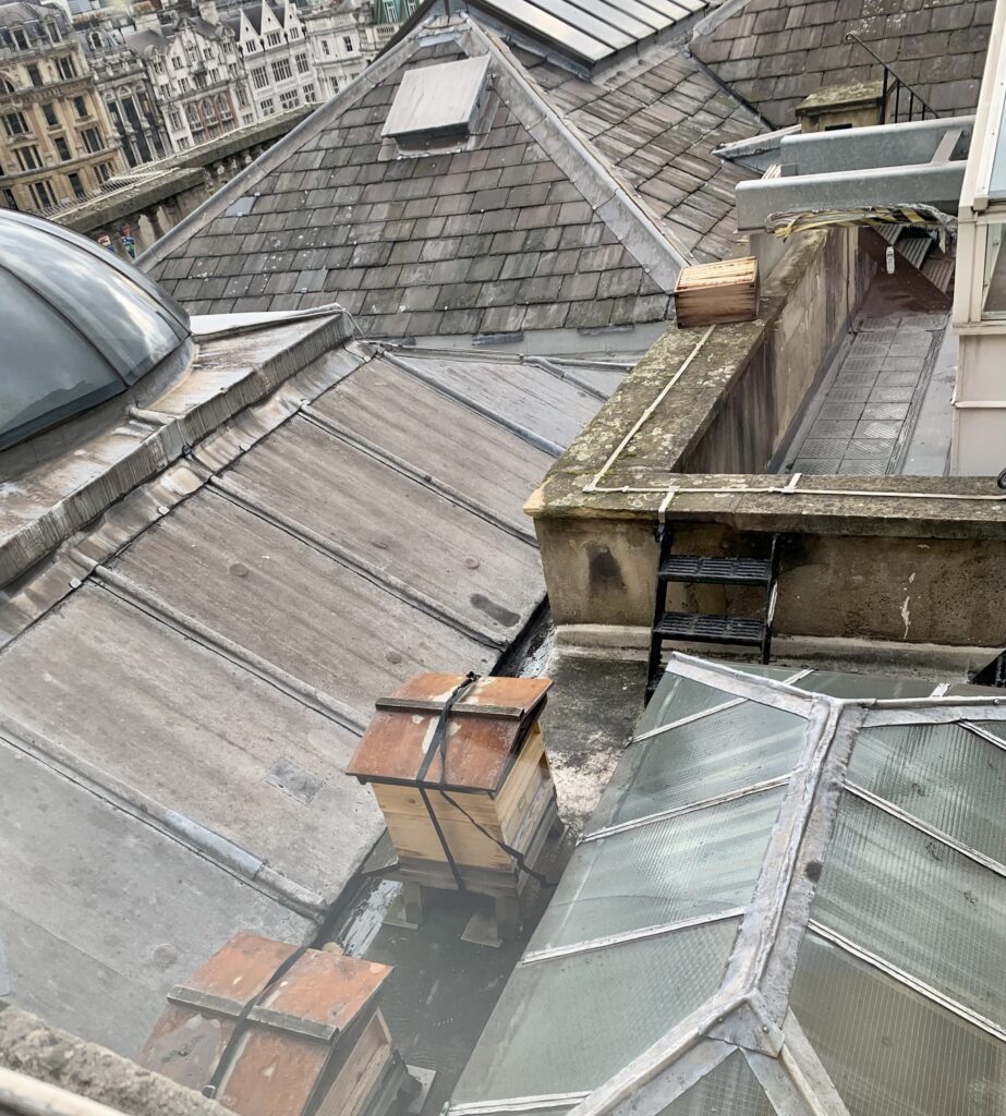 Canada House, London. Photo by Caroline Banks.