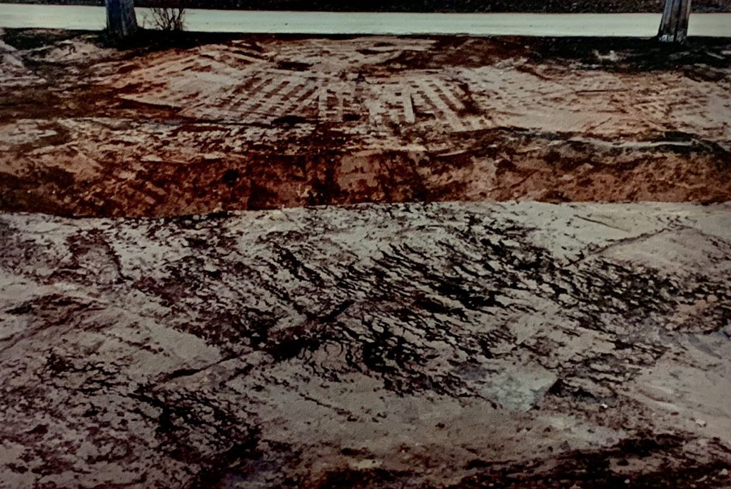 The Blue Road: Samuel Laurence Cunnane. Hayward Gallery. Caroline Banks.