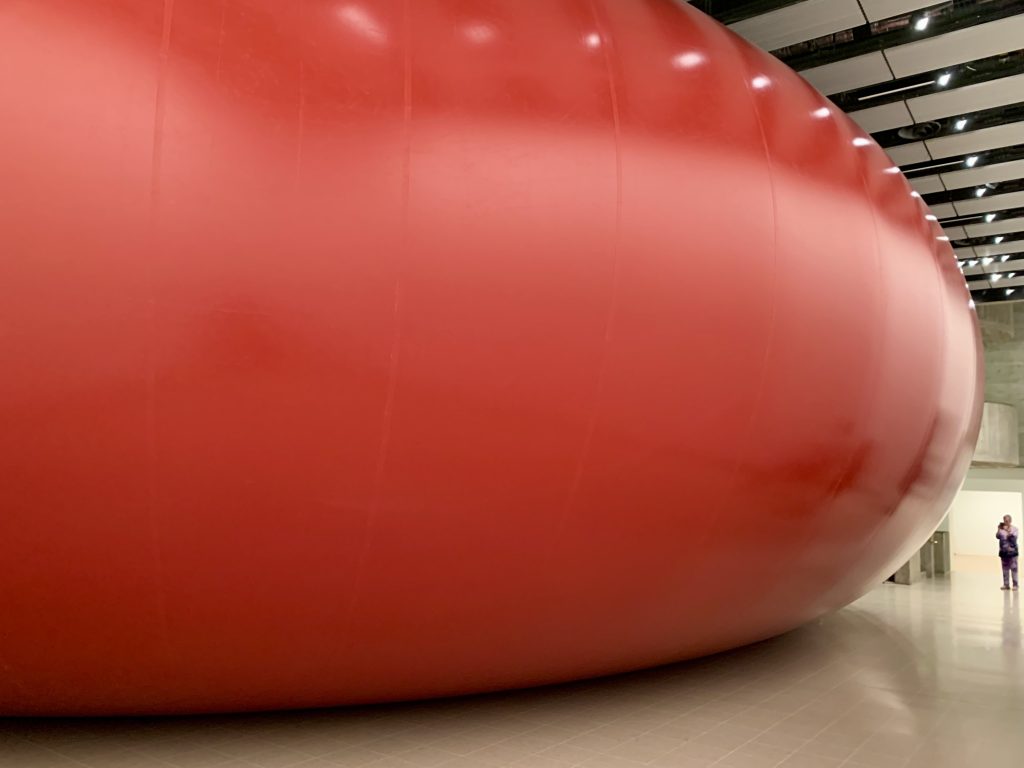 Anish Kapoor at Hayward Gallery. Photo by Caroline Banks